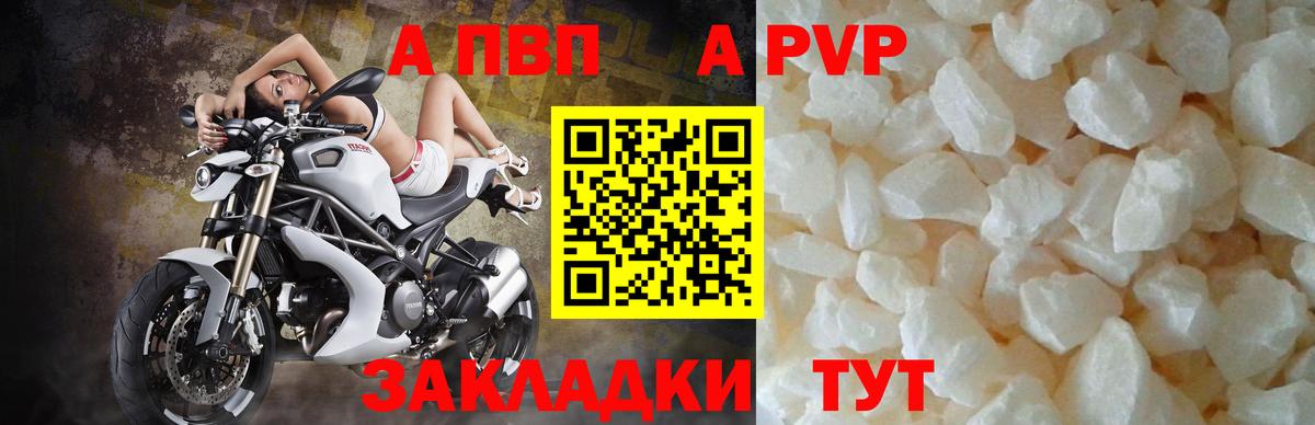 Alfa_PVP крисы CK Камень-на-Оби