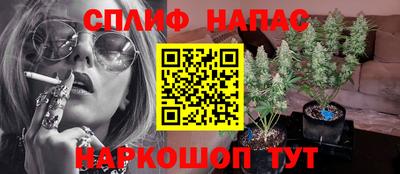стаф Кунгур