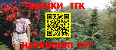 стаф Кунгур